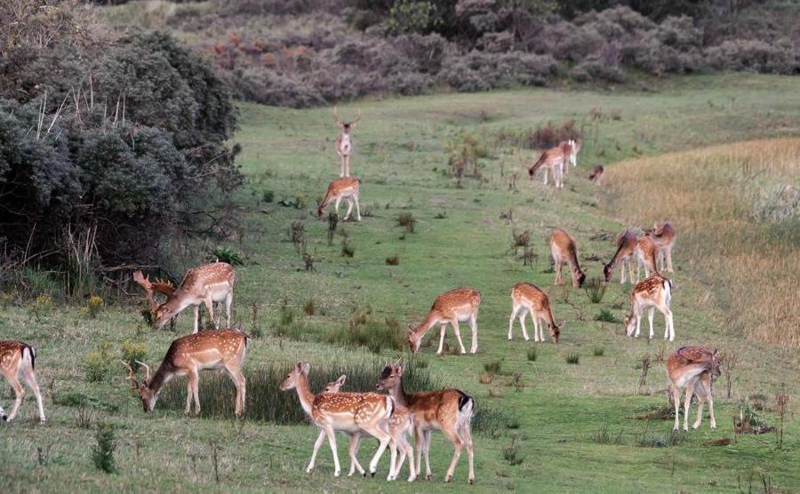 Glamping De Hof Van Eeden Warmond Εξωτερικό φωτογραφία